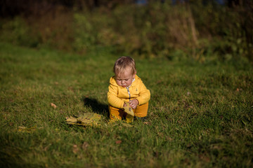 Little todler boy playing with autumn yellow leaves