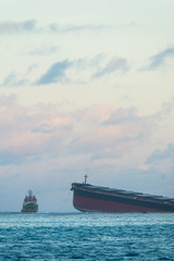 Japanese ship Wakashio wrecked off the coast of Mauritius