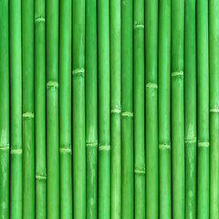 Fototapeta premium Bambusowe tekstury tła z naturalnymi wzorami; bambusowe ogrodzenie tekstury tła