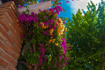 paisajes hermosos de Nerja 