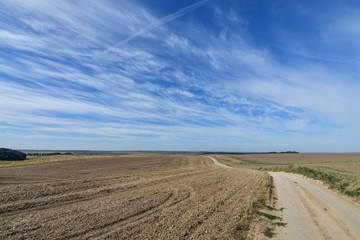Fototapeta na wymiar Autumn rural scenery of the dirt road running through cultivated agricultural fields, background of amazing blue sky. Copy space.