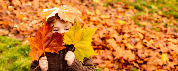 Kids play in autumn park. Children throwing yellow leaves. Child boy with oak and maple leaf. Fall...