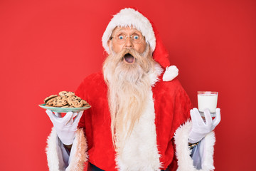 Old senior man with grey hair and long beard wearing santa claus costume holding cookies and milk celebrating crazy and amazed for success with open eyes screaming excited.