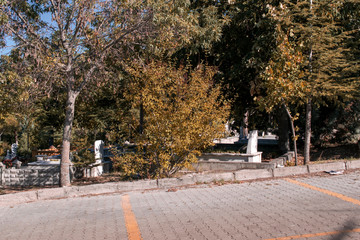 Turkish muslim cemetery among trees. View from large walking path inside the graveyard.