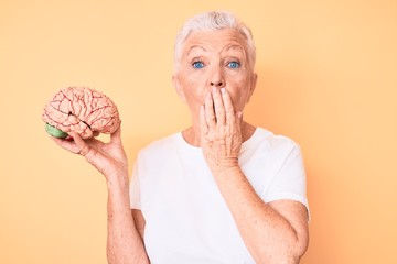 Senior beautiful woman with blue eyes and grey hair holding brain as mental health concept covering...