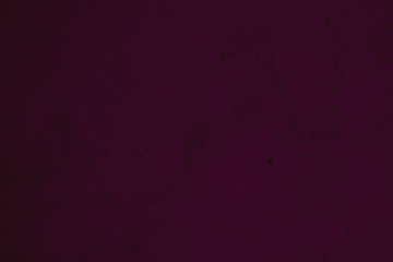 abstract dismal dark purple and burgundy colors background for design