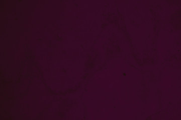 abstract dismal dark purple and burgundy colors background for design