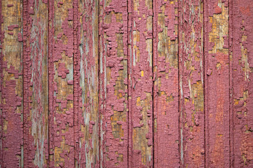 Wooden background. Texture of the shabby surface. Background from wooden surface with peeling paint. Wooden fence or floor with peeling paint. Shabby painted surface. Texture with remnants old paint.