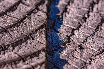Close up wood texture