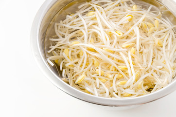 水に漬けた大豆もやし
