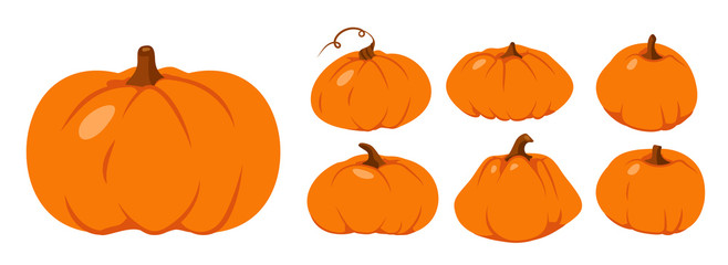 Set of Autumn pumpkin flat icon. Symbol Thanksgiving and Halloween. Cartoon different shape orange gourd. Gather farm harvest, season crop capacity. Ripe vegetable squash. Isolated vector illustration