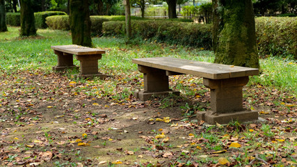 秋の城山公園　落ち葉とベンチ
