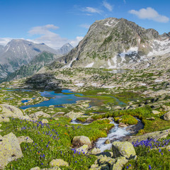 A picturesque valley in the Altai Mountains. Green alpine meadows, spring flowers, snow and lakes.