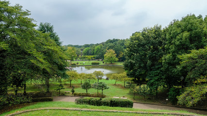 2020年夏の城山公園　大池