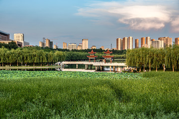 Landscape of Friendship Park in Changchun, China 