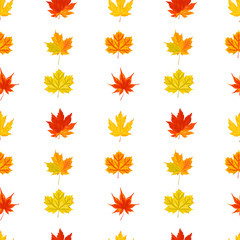 Fototapeta na wymiar Seamless pattern with autumn maple leaves. Vector illustration.
