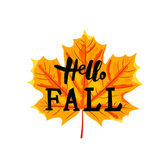 Hello Fall banner with maple autumn leaf. Handwritten Hello Fall. Place for text. Vector illustration.