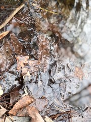 Hiking find