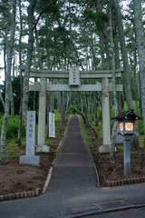 Fototapeta premium 与利磯神社の鳥居