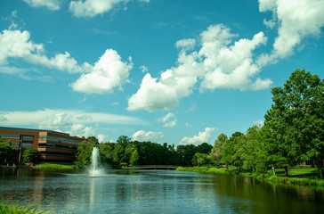 Building on Pond