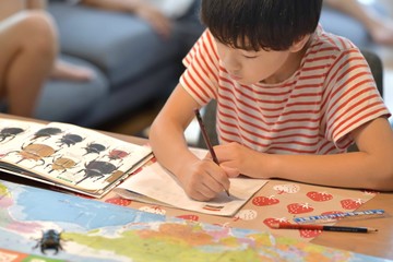 昆虫観察・学習の男の子