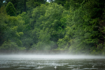 Fog on the pond between summer storms at Crowder County Park in Apex, North Carolina.