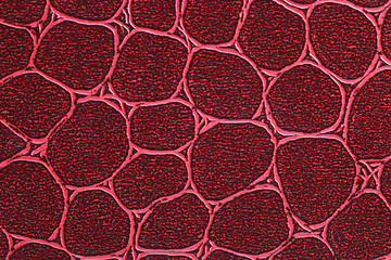 Abstract pattern coarser leather  background
