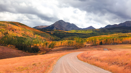 Obraz premium Colorful Aspen trees in autumn time at San Juan mountains ,Colorado 