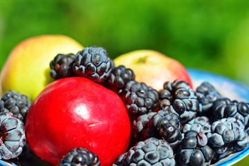 Edge of a saucer with apples and scattered blackberries close up on green garden background