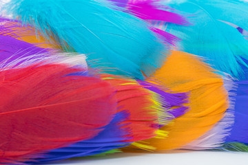 Many colorful feather texture