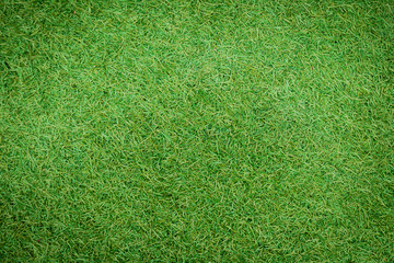 Green artificial grass natural