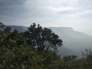 fog in the mountains