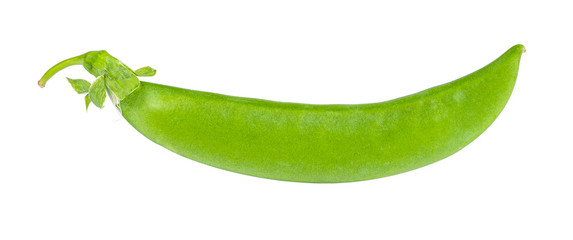 garden pea isolated on white background