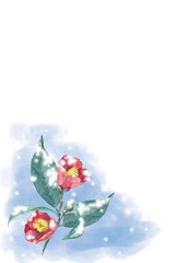 雪が積もった椿の花