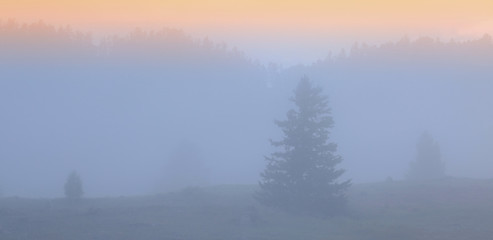 Dawn on a foggy morning, dreamy landscape, soft focus lights