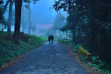 People taking a walk in the woods