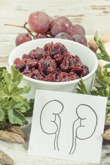 Drawing of kidneys and healthy eating as source vitamins and minerals