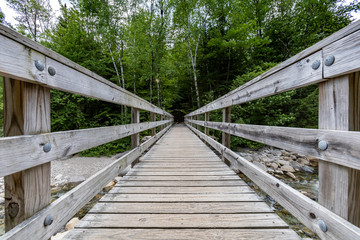 Fototapeta na wymiar The sturdy Lincoln Woods Trail footbridge helps hikers cross the Franconia Branch as it flows to its destination