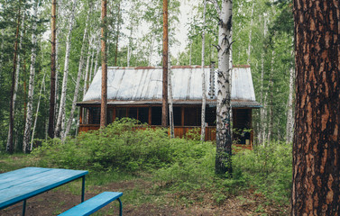 summer wooden house in a birch grove. camping in the woods. tourist base for travelers ' recreation. eco-friendly construction