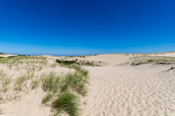 The dune trails of Provincetown rpovide challening hiking iwth rewarding views and serene beaches