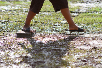 walking step over the dirt ground.