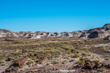 The Blue Mesa Trail in Petrified Forest National Park, Arizona