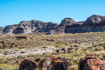 The Blue Mesa Trail in Petrified Forest National Park, Arizona