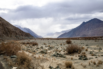 Scene of Hunder Sand Dunes in Nubra Valley in Leh Ladakh, Jammu and Kashmir, India