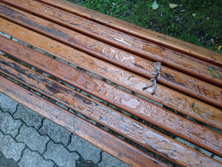 Glasses forgotten on a park bench, after rain