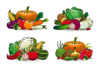 Farm vegetables vector icons squash, bell pepper and cauliflower with beetroot. Potato, onion and radish with broccoli, red chili, eggplant and carrot with beans and cabbage isolated cartoon veggies