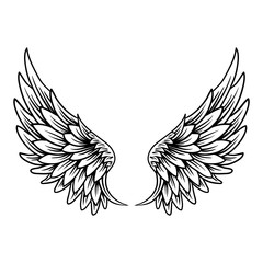 hand drawn wings vector illustration