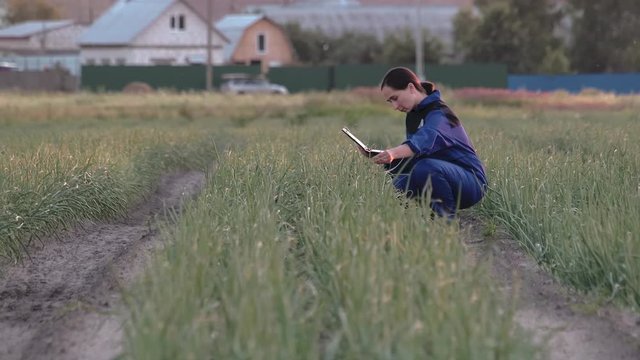Young Caucasian woman farmer examines the sprouts of onion tops on a plantation. The agronomist enters the growth data in a digital electronic device. Concept of agribusiness in vegetable growing