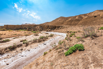 Dry river bed, drought, lack of water