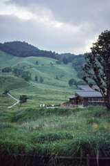 砥峰高原